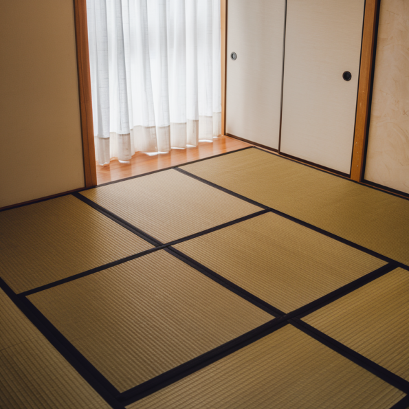 Tatami – Image 5